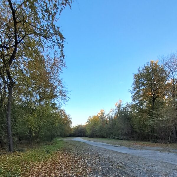 via gaggio-copertina-dooid