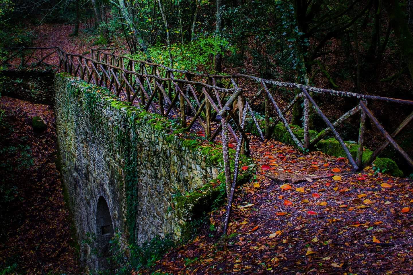 ponte-cardona-di-narni