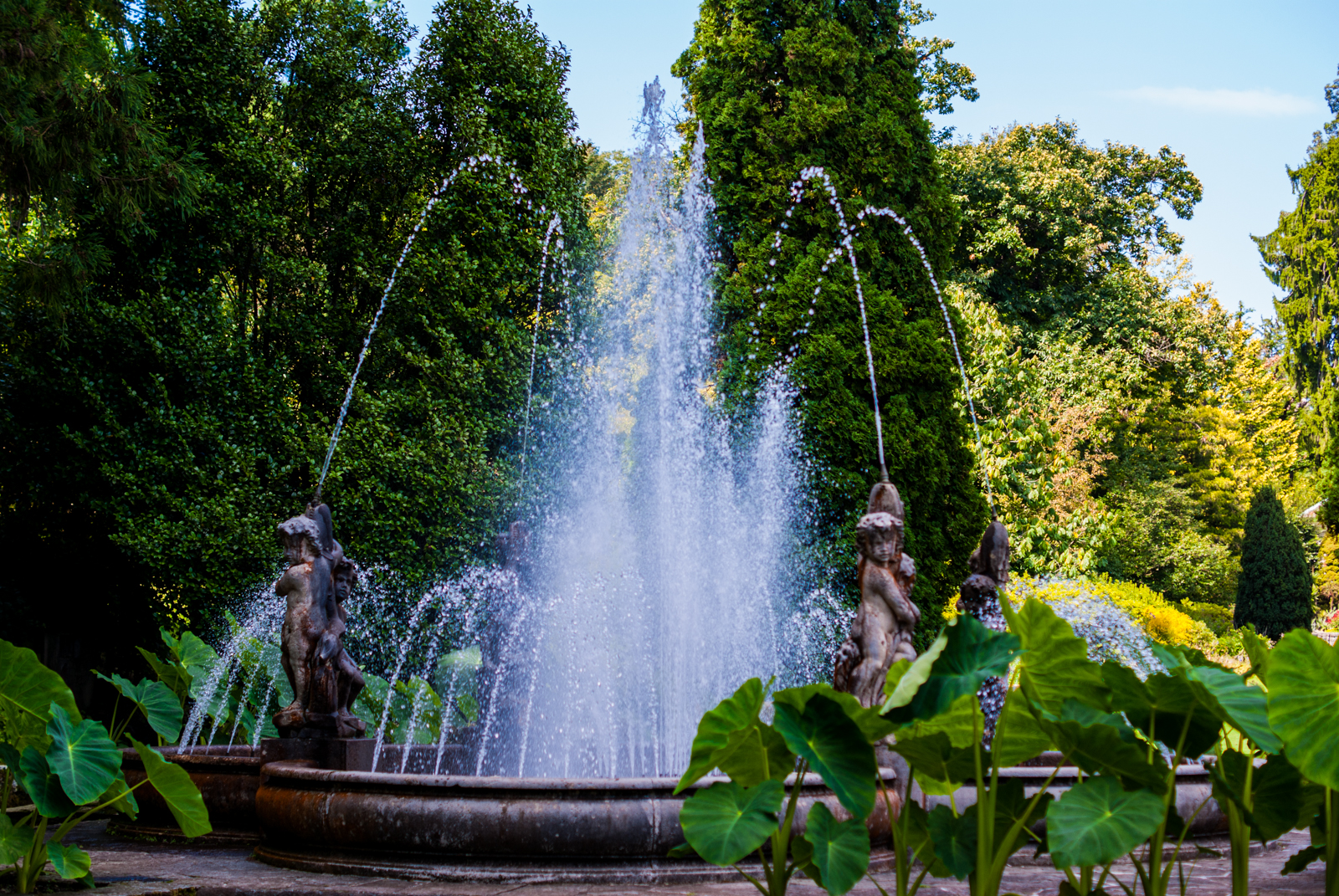 Fontana-dei-putti-Giardini-Botanici-di-Villa-Taranto