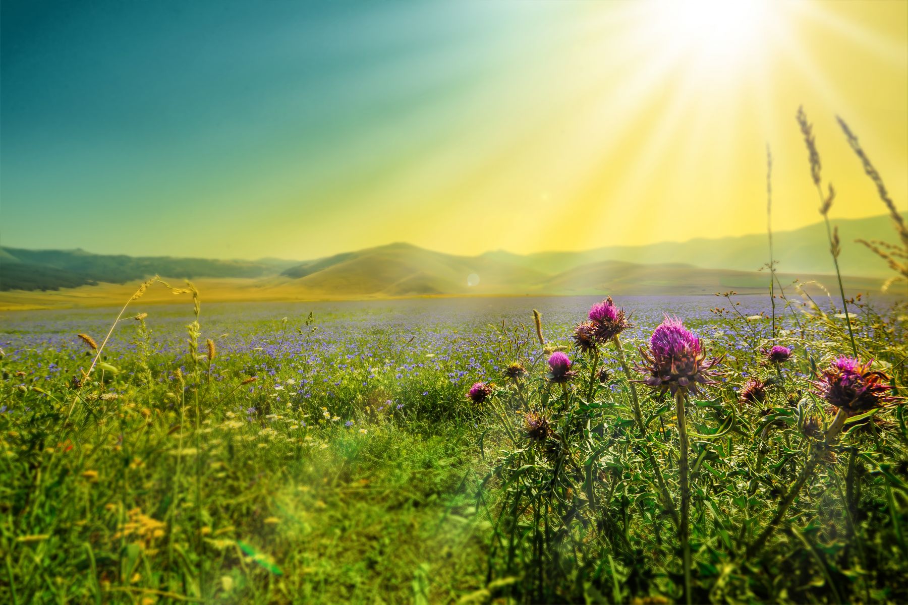 monti-sibillini-parco-nazionale